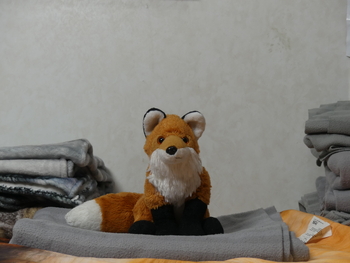 Unnamed 7 (Red Fox, Wild Republic)